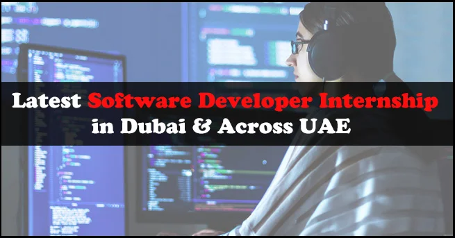 Software Developer Internship