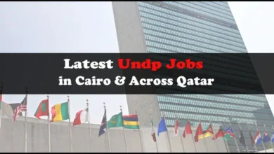 Undp Jobs